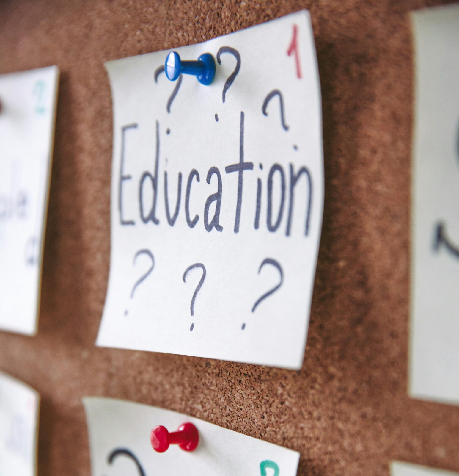Eine Pinnwand mit einem Zettel, der mit einer blauen Reißzwecke befestigt ist. Auf dem Zettel steht „Bildung“, umgeben von Fragezeichen. Um ihn herum sind weitere Zettel teilweise zu sehen.